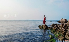 张津瑜记者视频9分